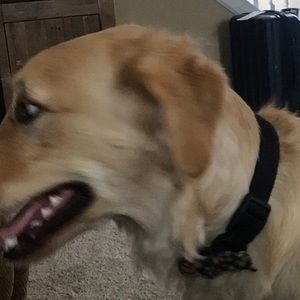 Meet your Posher, Katelyn